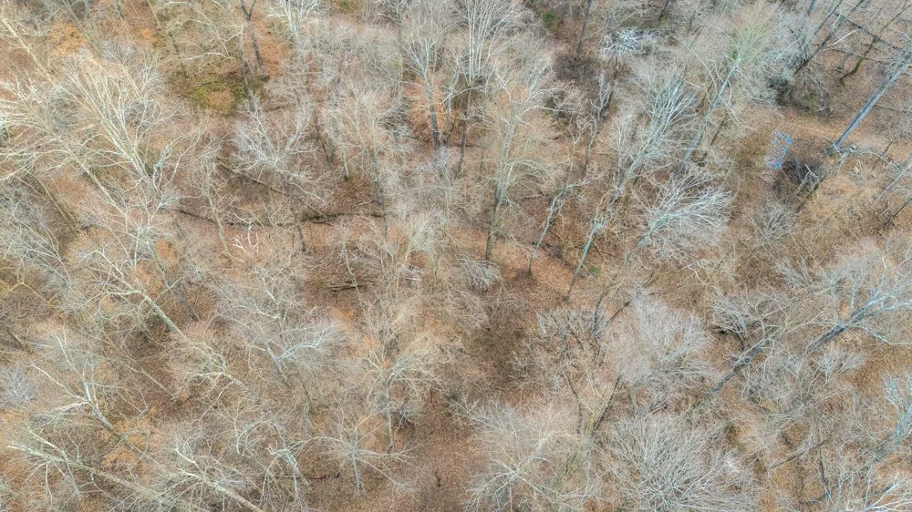 745 UNION RIDGE ROAD Wartrace, TN 37183