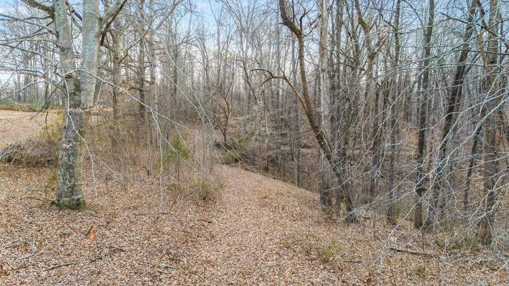 745 UNION RIDGE ROAD Wartrace, TN 37183