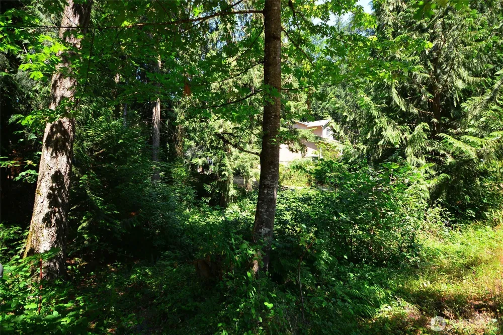 18840 Rampart Drive SE Yelm, WA 98597