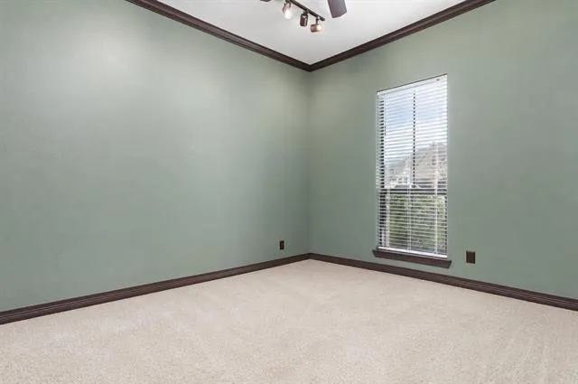 101 Sir Cameron Lumberton, TX 77657