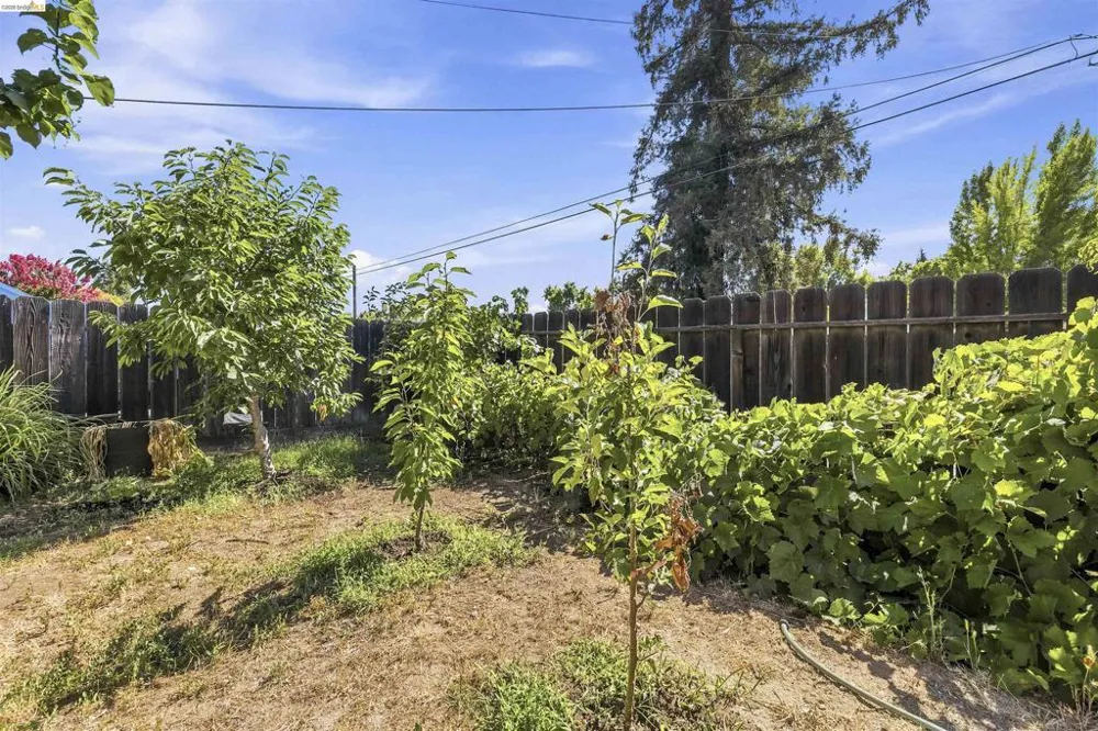 1042 Walnut St Oakdale, CA 95361
