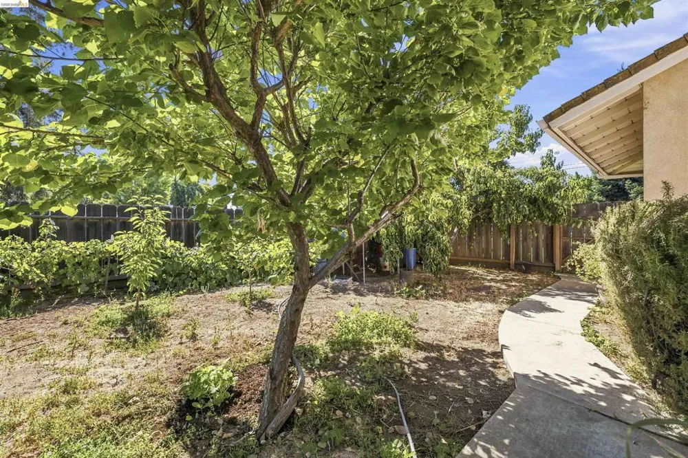 1042 Walnut St Oakdale, CA 95361