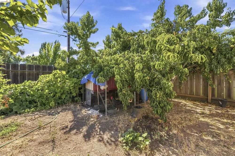1042 Walnut St Oakdale, CA 95361