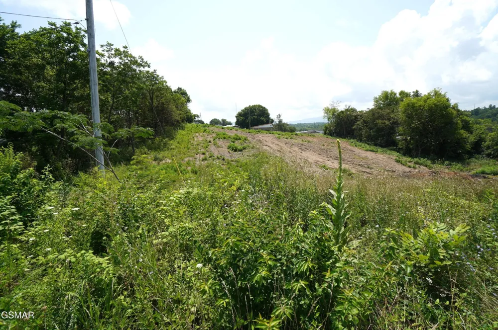 738 W HIGHWAY 25 70 Newport, TN 37821