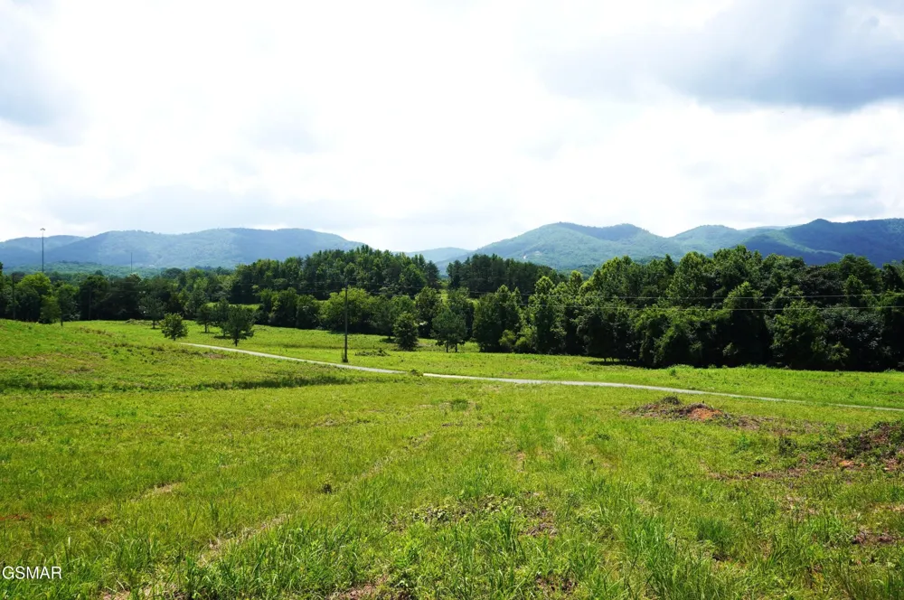 0 Rhyne Camp Road Newport, TN 37821