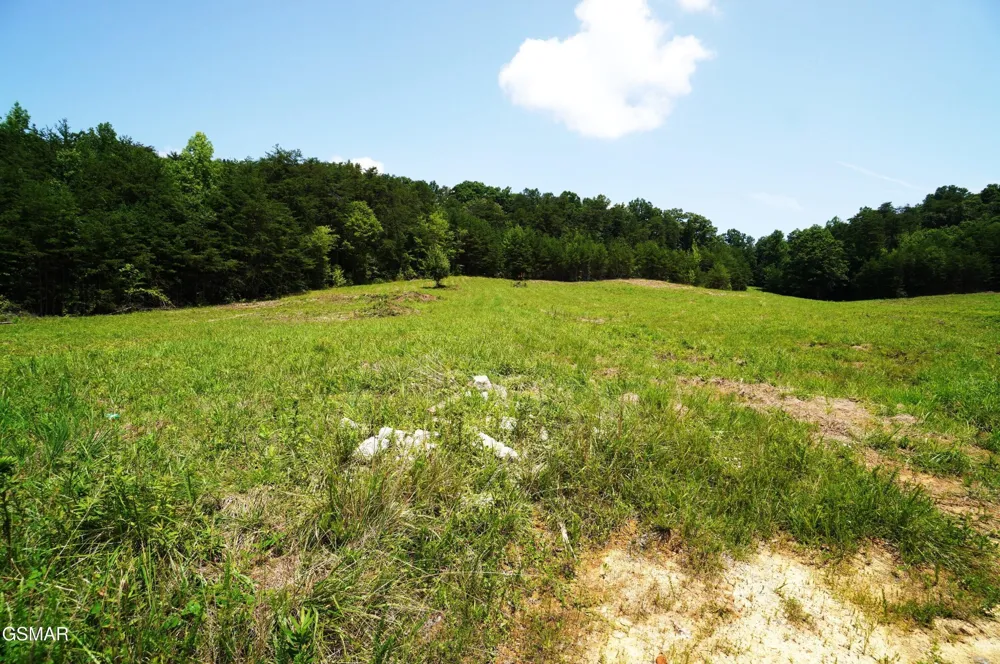 0 Rhyne Camp Road Newport, TN 37821