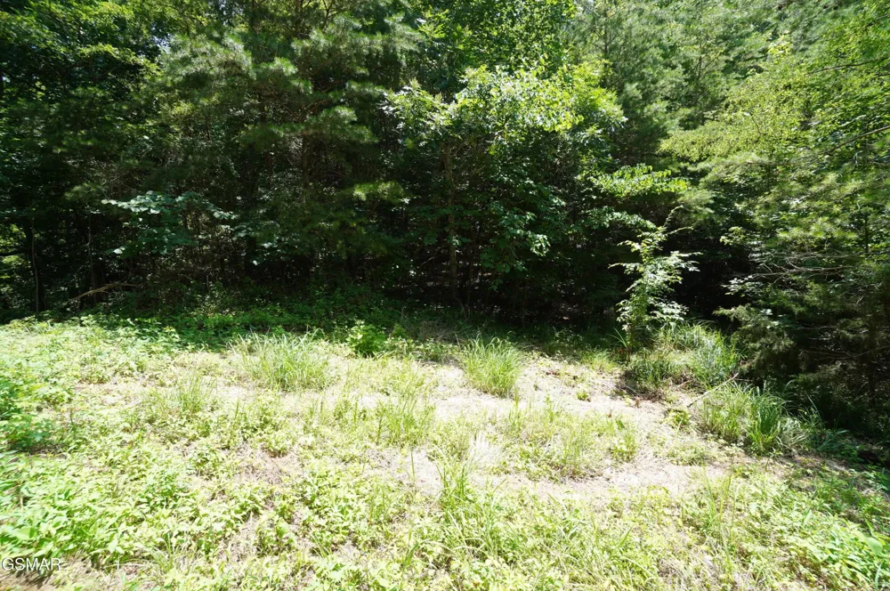 0 Rhyne Camp Road Newport, TN 37821