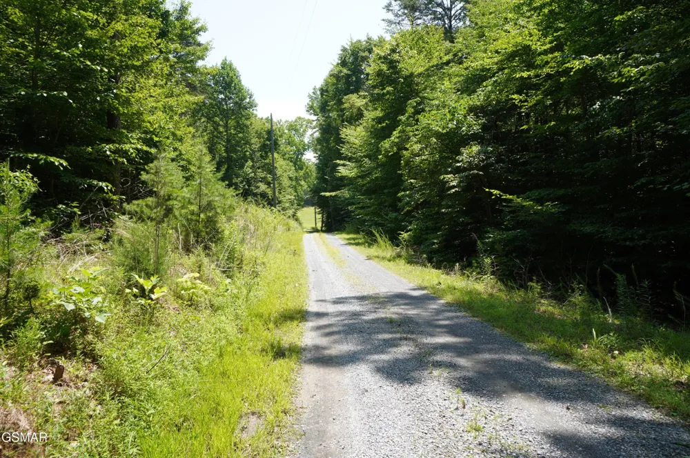 0 Rhyne Camp Road Newport, TN 37821