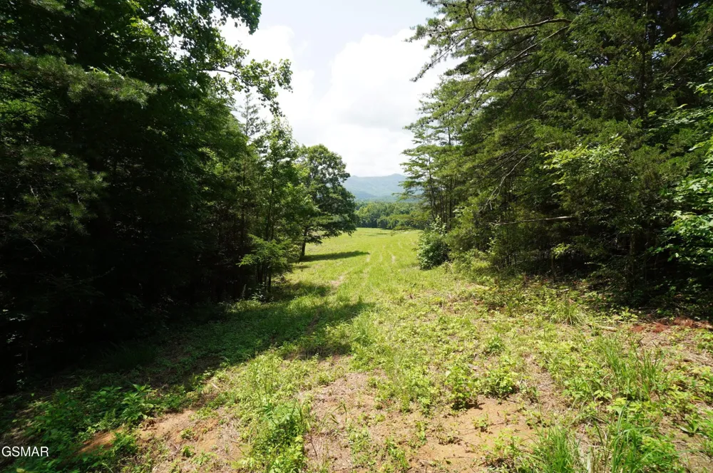 0 Rhyne Camp Road Newport, TN 37821
