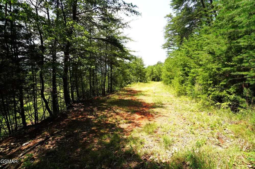 0 Rhyne Camp Road Newport, TN 37821