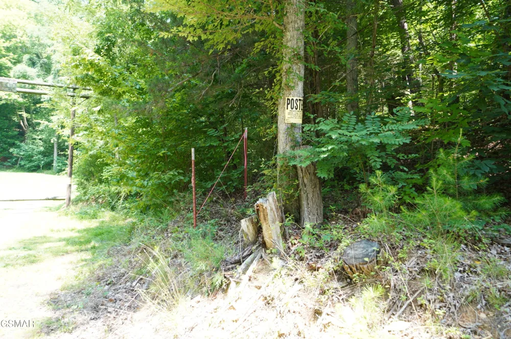 0 Rhyne Camp Road Newport, TN 37821