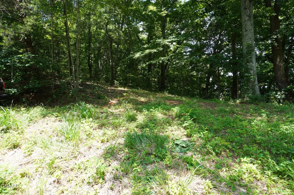 0 Rhyne Camp Road Newport, TN 37821