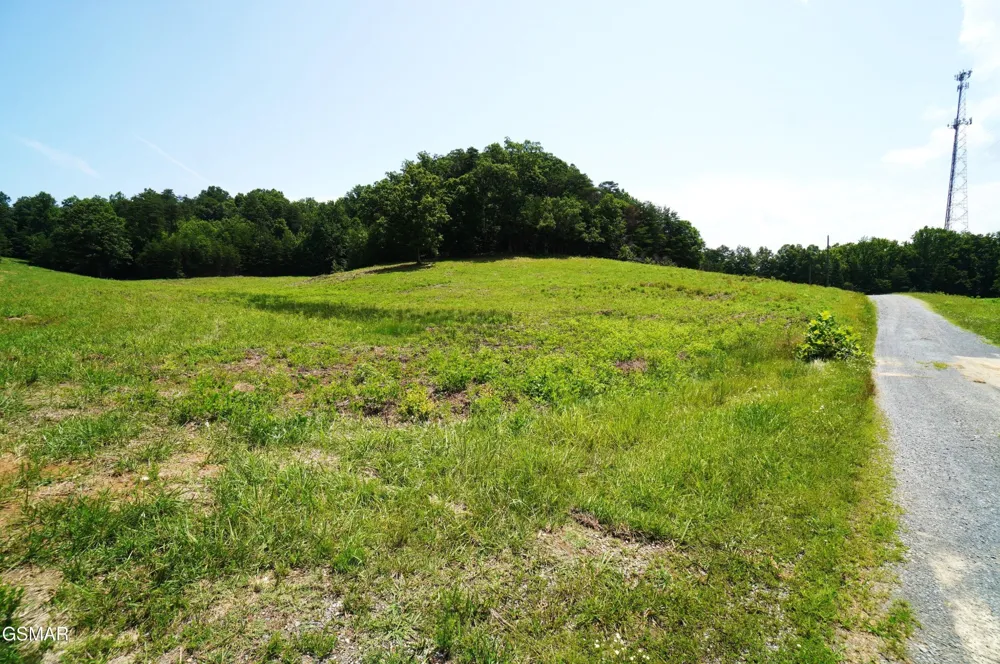 0 Rhyne Camp Road Newport, TN 37821