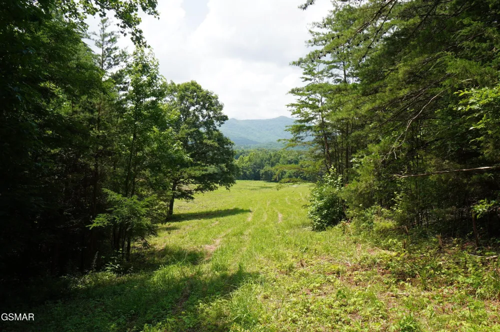 0 Rhyne Camp Road Newport, TN 37821