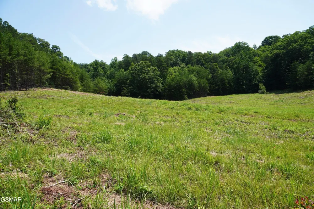 0 Rhyne Camp Road Newport, TN 37821