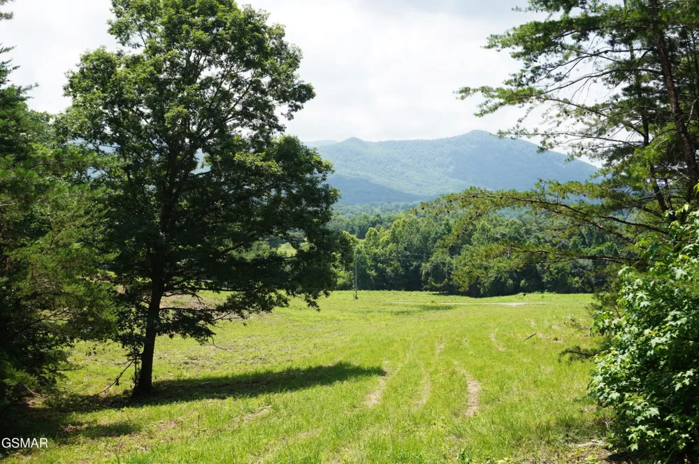 0 Rhyne Camp Road Newport, TN 37821