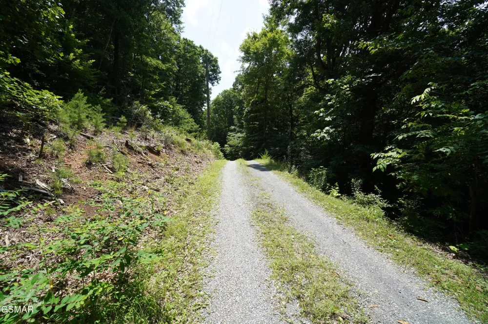 0 Rhyne Camp Road Newport, TN 37821