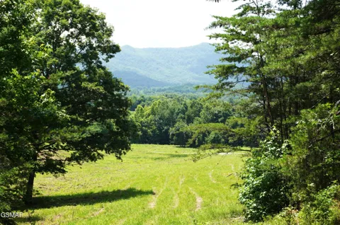 0 Rhyne Camp Road