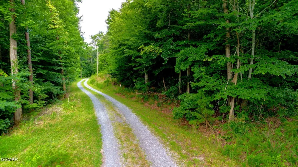 0 Rhyne Camp Road Newport, TN 37821