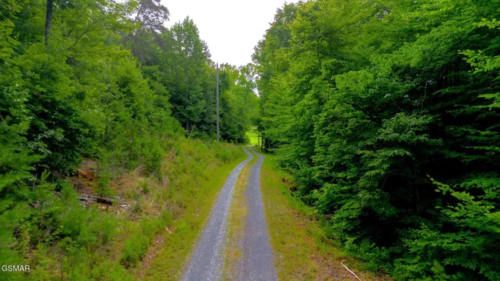 0 Rhyne Camp Road Newport, TN 37821