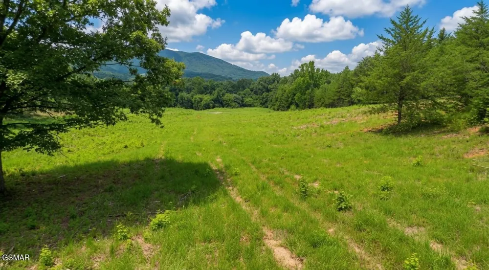 0 Rhyne Camp Road Newport, TN 37821