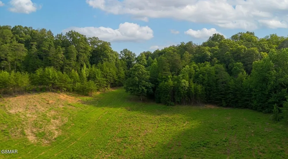 0 Rhyne Camp Road Newport, TN 37821