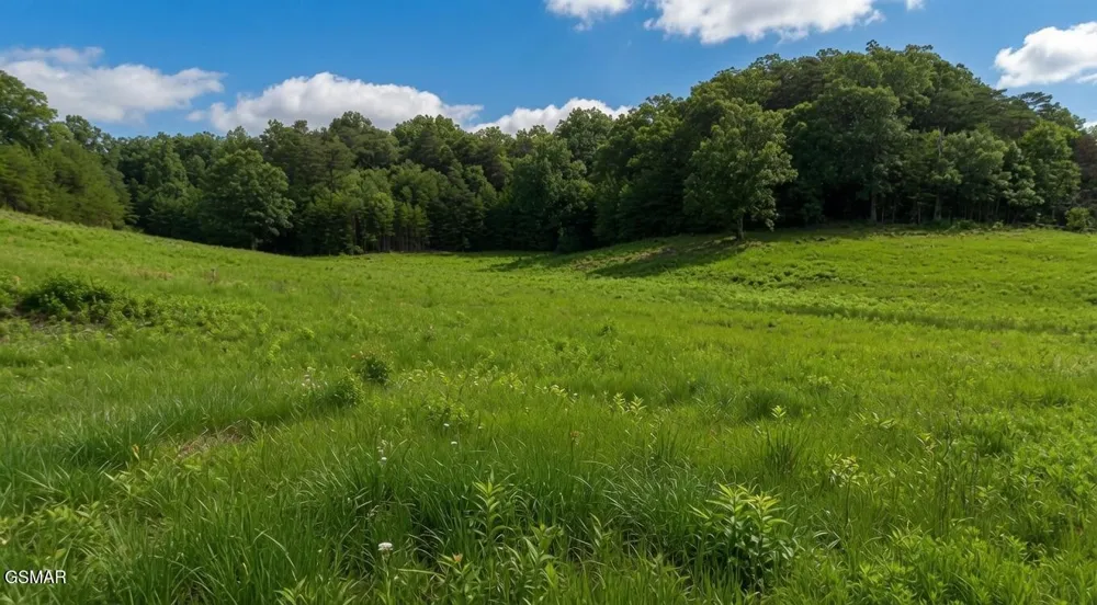 0 Rhyne Camp Road Newport, TN 37821