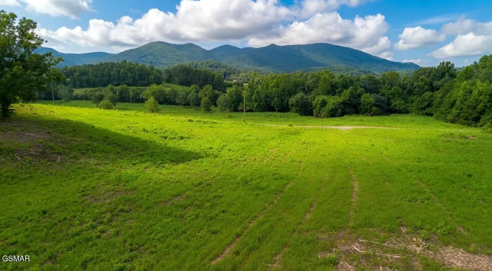0 Rhyne Camp Road Newport, TN 37821