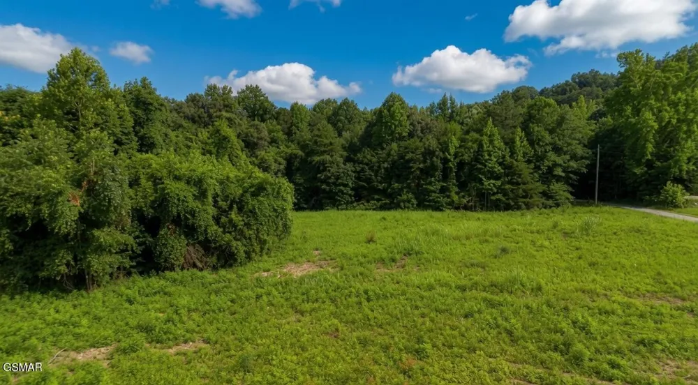 0 Rhyne Camp Road Newport, TN 37821