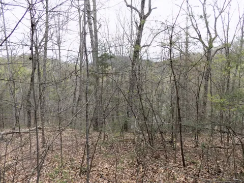 1 Mountain Shadow Way