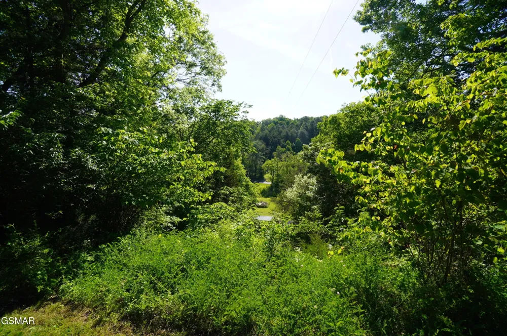 680 Hale Brook Road Newport, TN 37821