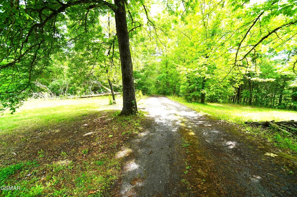 680 Hale Brook Road Newport, TN 37821