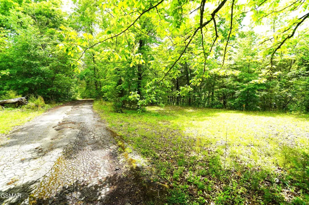 680 Hale Brook Road Newport, TN 37821