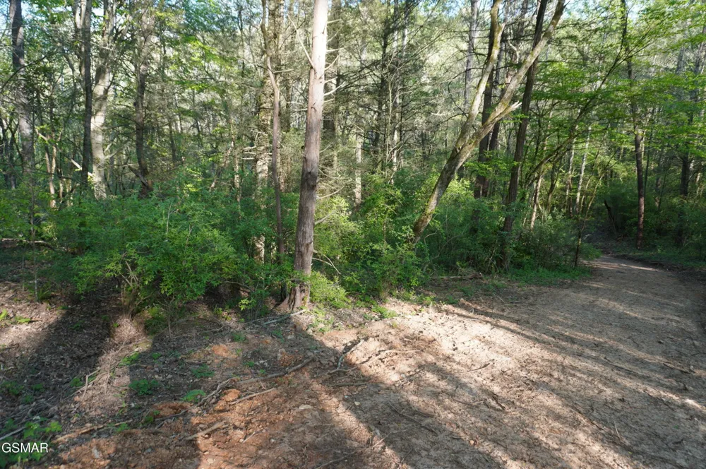 12 Golf Course Road Newport, TN 37821