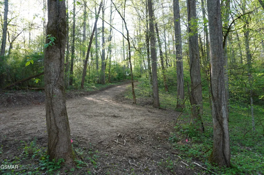 12 Golf Course Road Newport, TN 37821