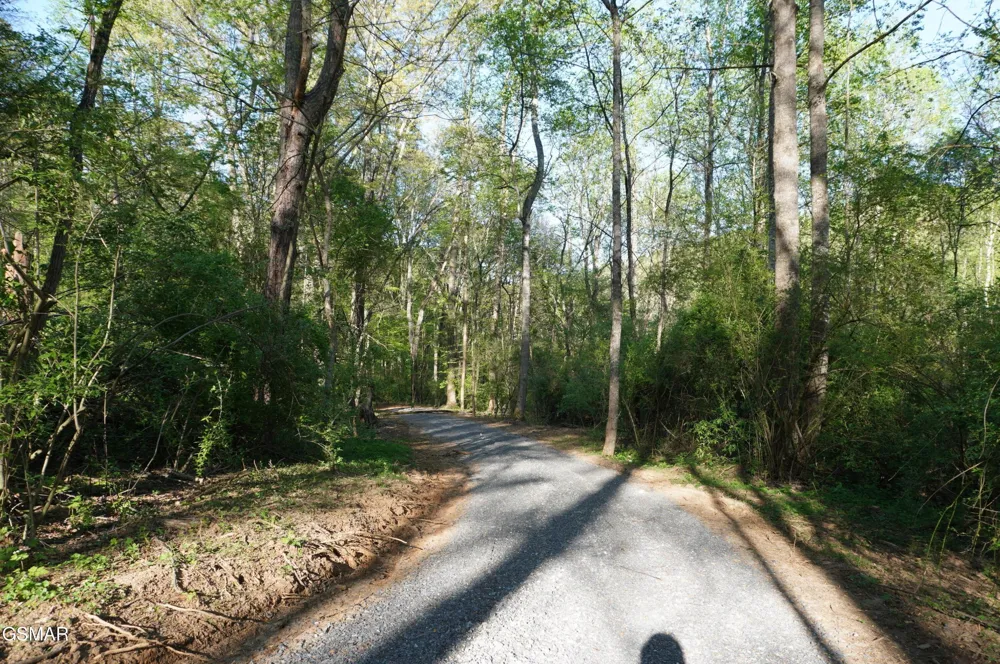 12 Golf Course Road Newport, TN 37821