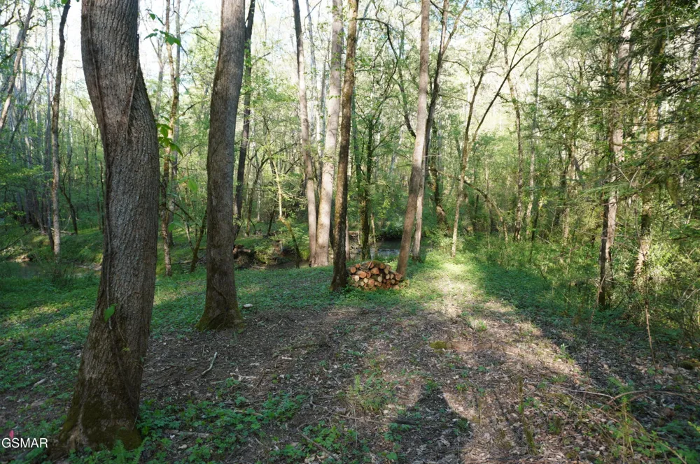 12 Golf Course Road Newport, TN 37821