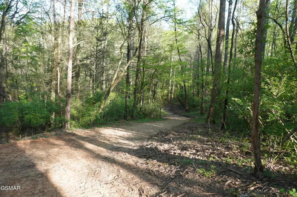 12 Golf Course Road Newport, TN 37821