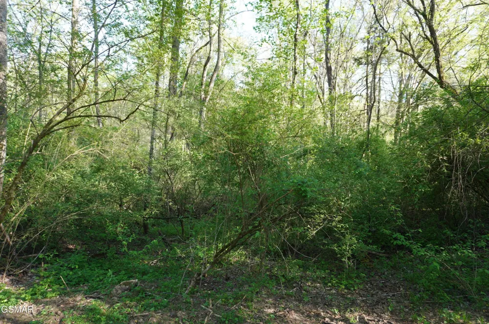 12 Golf Course Road Newport, TN 37821
