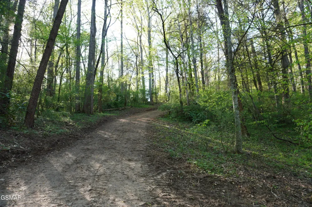 12 Golf Course Road Newport, TN 37821