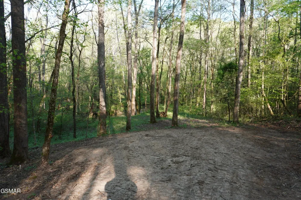 12 Golf Course Road Newport, TN 37821