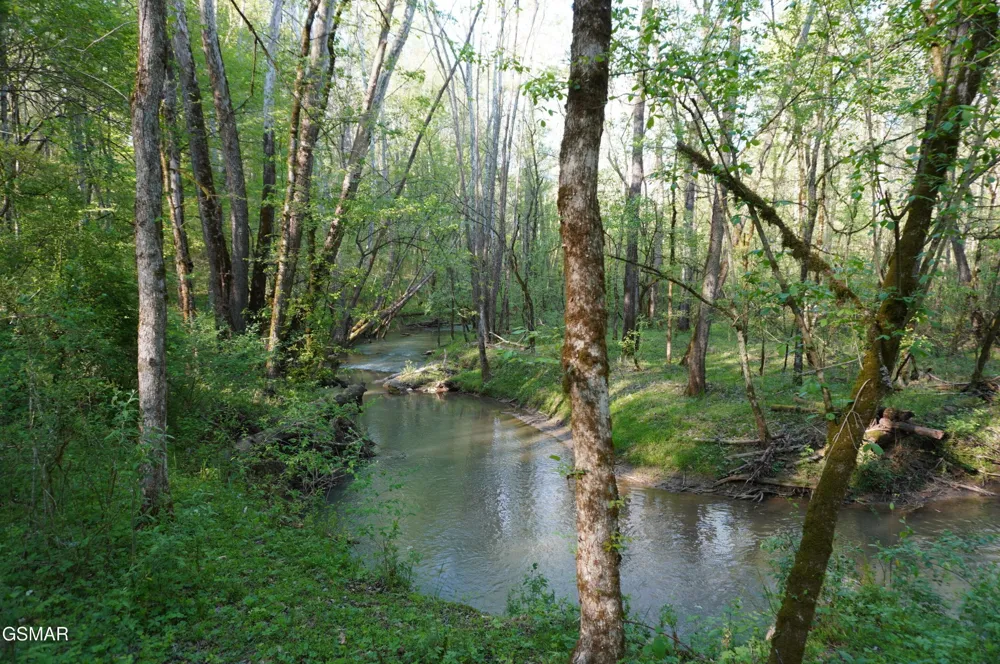 12 Golf Course Road Newport, TN 37821