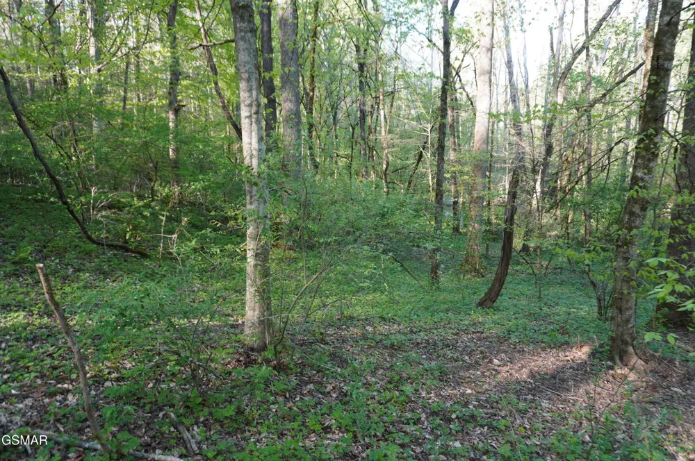 12 Golf Course Road Newport, TN 37821