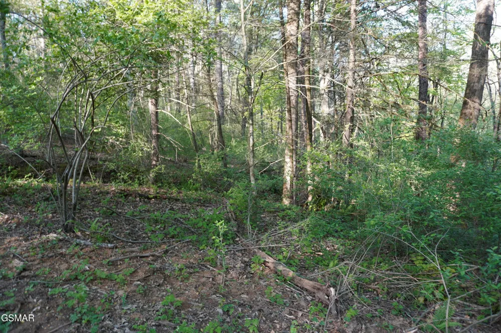 12 Golf Course Road Newport, TN 37821