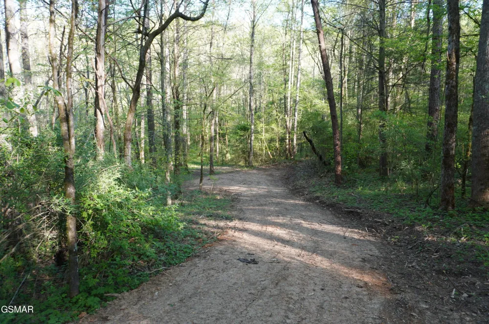 12 Golf Course Road Newport, TN 37821