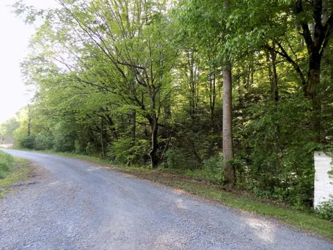 23 Driftwood Road