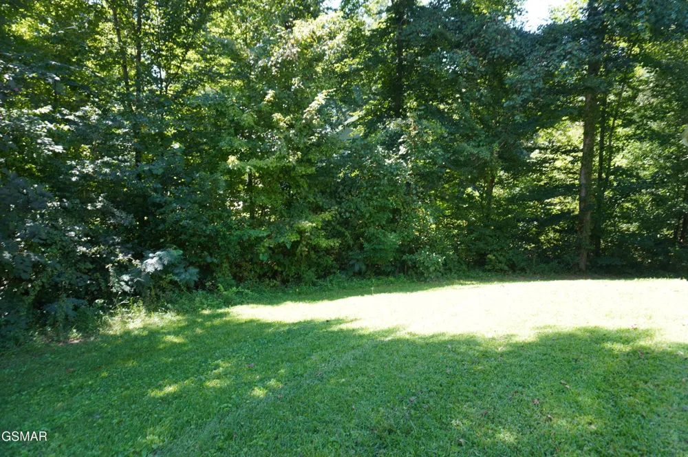 226 Meadowood Road Newport, TN 37821