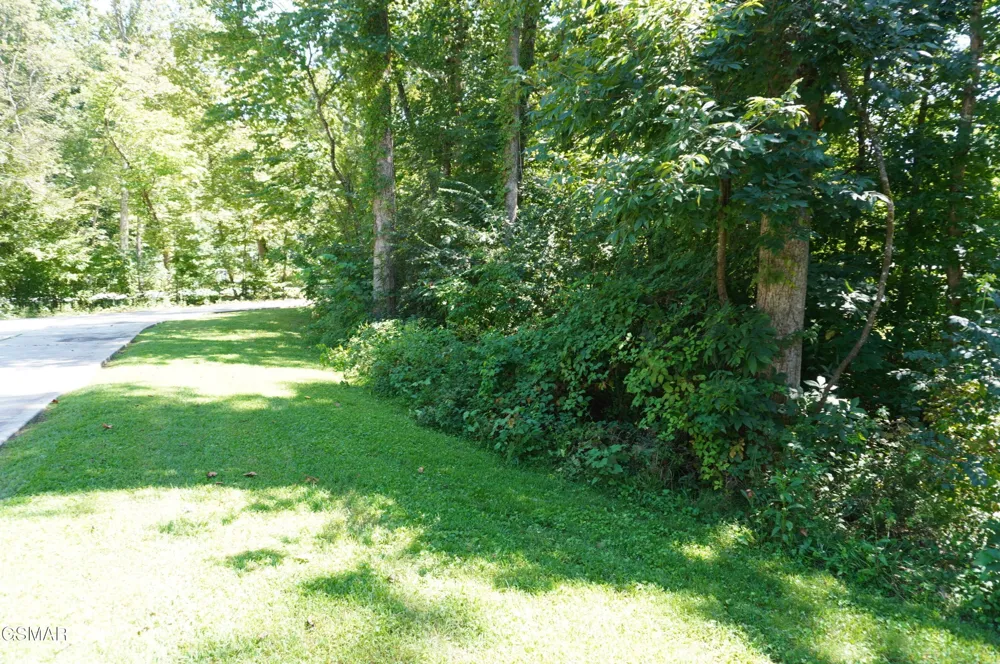 226 Meadowood Road Newport, TN 37821