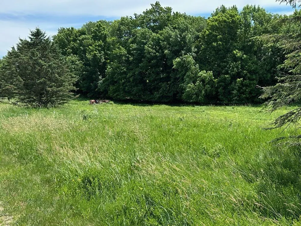 135 Windmill Way Glenwood City, WI 54013