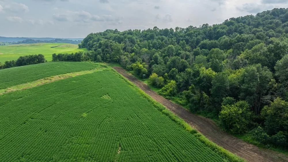 0 County Road J Mondovi, WI 54755
